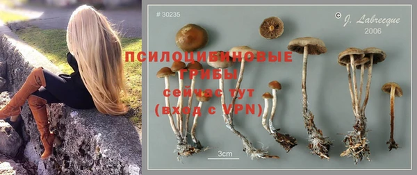 герыч Алзамай