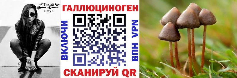 Псилоцибиновые грибы Psilocybe Сосенский