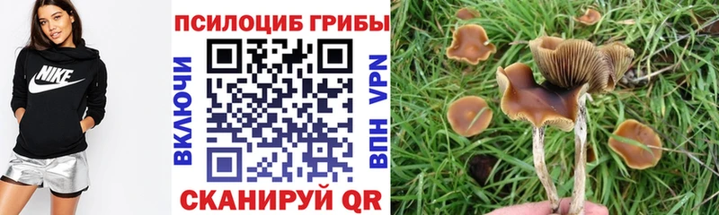 Псилоцибиновые грибы Psilocybe  Сосенский 