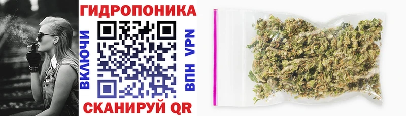 купить   сайты даркнета официальный сайт  Бошки марихуана AK-47  Сосенский  мега ТОР 